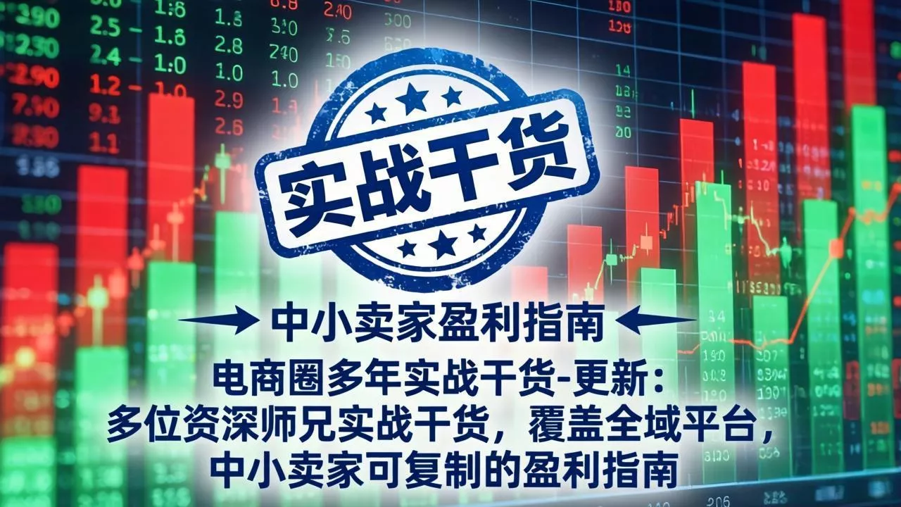 电商圈多年实战干货-更新2026：多位资深师兄实战干货/覆盖全域平台，中小卖家可复制的盈利指南 - 渡客网创