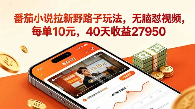 番茄小说拉新野路子玩法，无脑怼视频，每单10元，40天收益27950 - 渡客网创