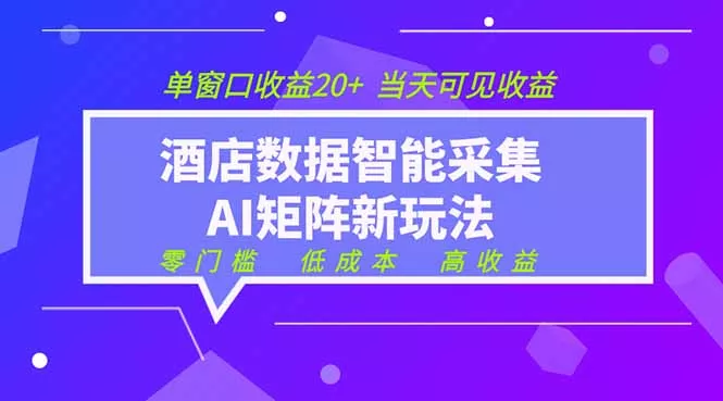 2026酒店数据采集ai智能矩阵新风口 低成本 高收益 当天见收益 单窗口20+ - 渡客网创