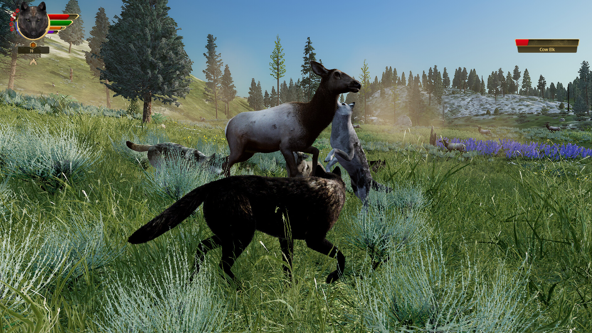 野狼谜踪:周年纪念版/WolfQuest: Anniversary Edition 野狼谜踪:周年纪念版/WolfQuest: Anniversary Edition
